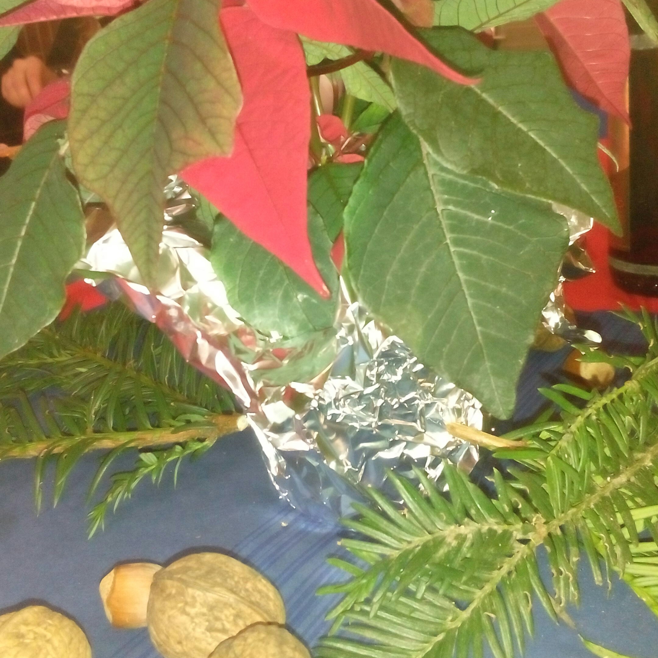 Jahresabschluss Jahresabschluss